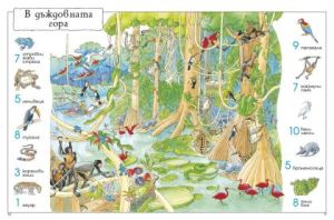 1001 животни, които да откриеш по света: Книга с игри